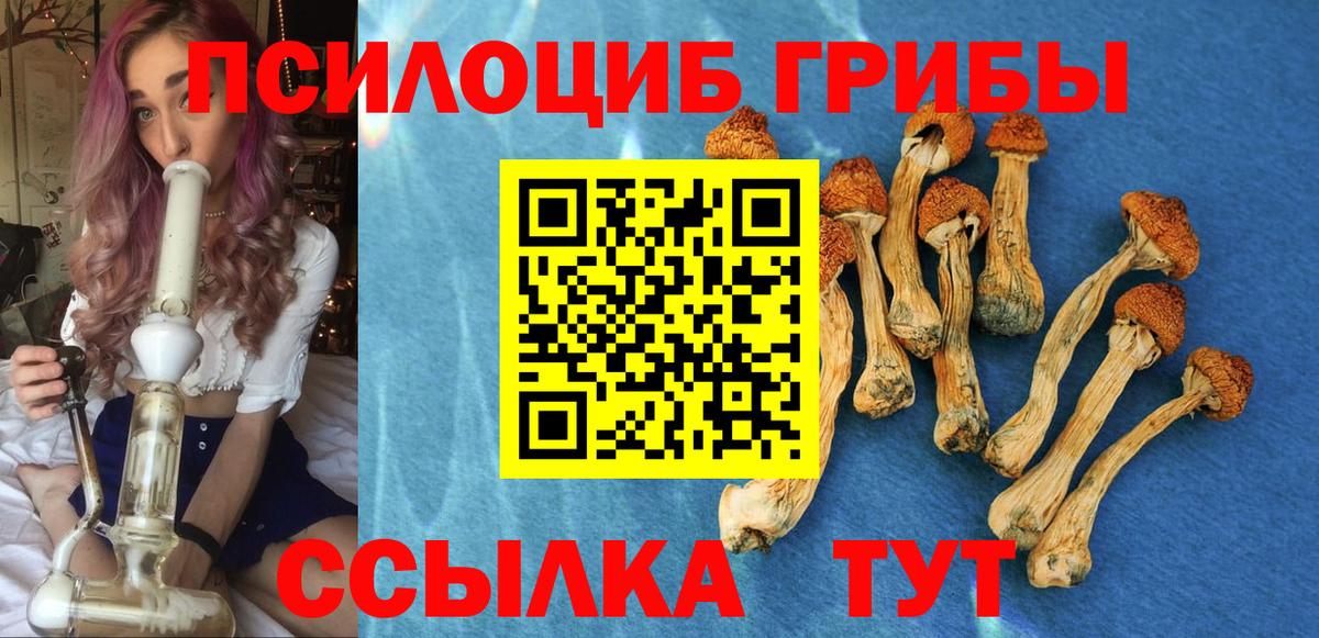 Горно-Алтайск  Псилоцибиновые грибы GOLDEN TEACHER  Вход с VPN  цены наркотик  Псилоцибиновые грибы мухоморы 